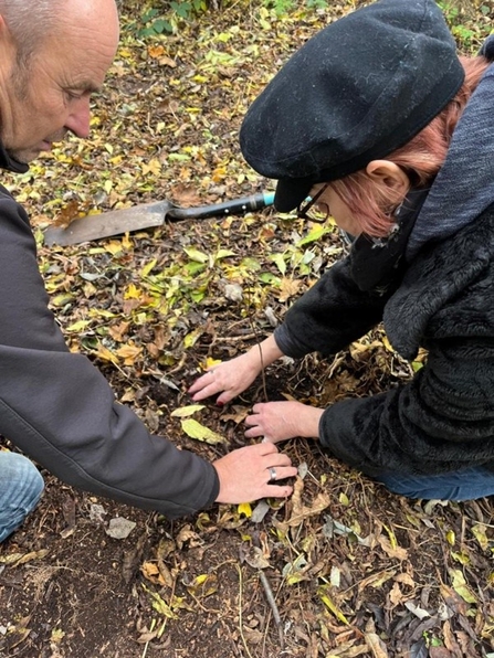 Two people planting a very young tree