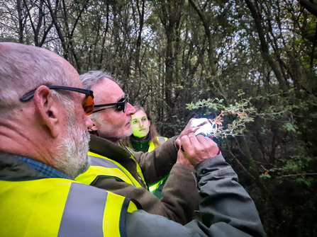 Volunteers learning to survey with UV lights at Finemere Wood nature reserve