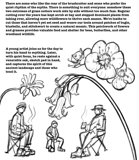 Two paragraphs of blog text alongside illustrations of volunteers sat beneath flowers