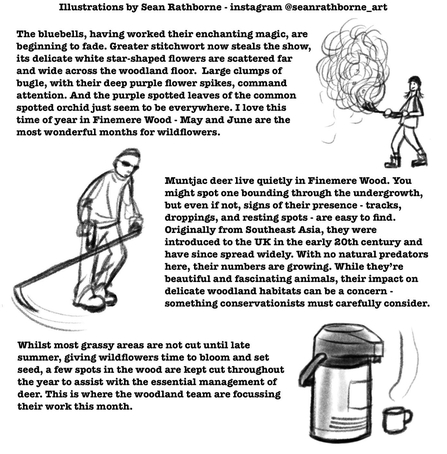 Several paragraphs of blog text alongside illustrations of scything and a coffee machine