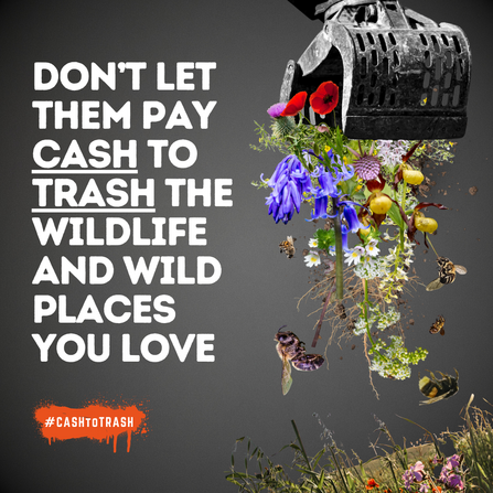 Planning & Infrastructure Bill: Cash to Trash