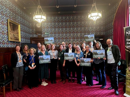 Representatives from The Wildlife Trusts and environmental charities raising awareness of chalk streams in Westminster, London