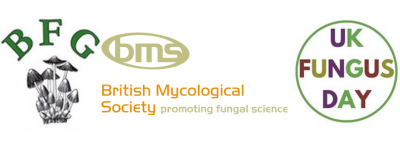 logos for Bucks Fungi Group, British Mycological Society and UK Fungus Day