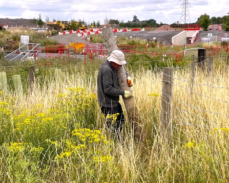 A man stoof among long grass and wildflowers, holding a large wooden fence post. Building works are visible in the background.