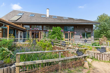 A wildlife and sensory garden packed with nature-friendly flowers and herbs