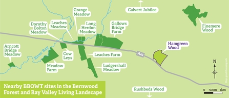 Map showing the location of Hamgreen Wood and nearby BBOWT reserves