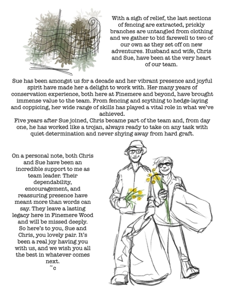 Illustrations of a fence being assembled, and two volunteers smiling and holding yellow flowers. The illustrations are accompanied by the body text of the blog.