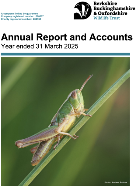 Cover of the BBOWT Annual Report and Accounts 2024 showing a grasshopper on a blade of grass