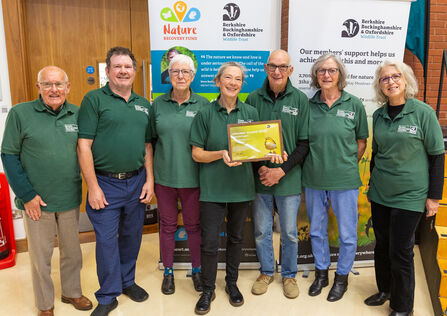 Seven people wearing green BBOWT shirts and proudly holding their framed award.