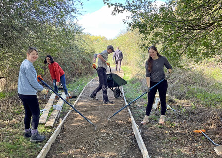 Staff from Novuna Vehicle Solutions on a BBOWT Wild Work Team Day