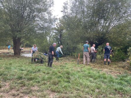 Friends of Island Pond Wood