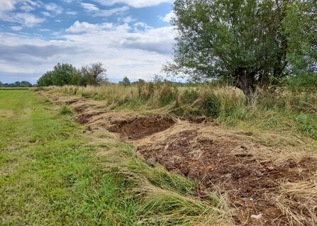 Drainage gaps made in dredging banks following ditch maintenance