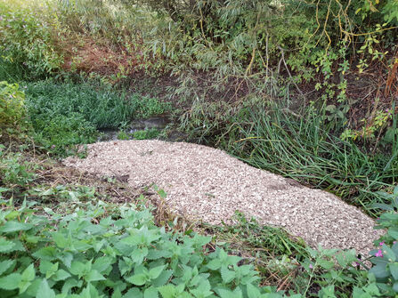 Berm feature, Wadley Stream, Chimney Meadows National Nature Reserve