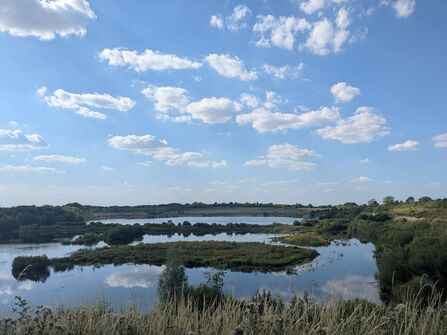 View over College lake in summer