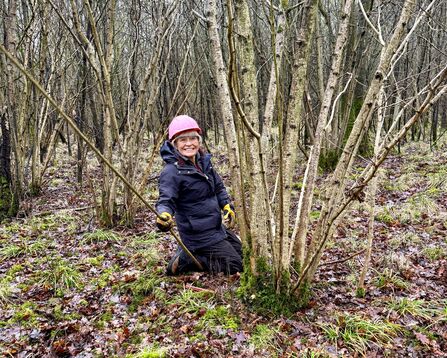 A person kneeling at the base of a tree in winter clothing, holding a cut branch in their hand.
