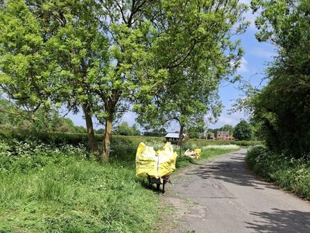 Country road verge with grass and large trees and large yellow bags to collect the grass cuttings