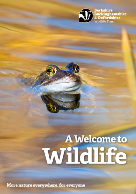 Cover image of the BBOWT new member magazine featuring a frog in a pond