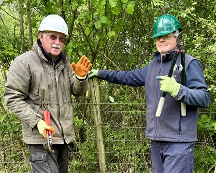 Two volunteers with cutting tools in hand and helmets on, leaning against a fence post and waving at the camera