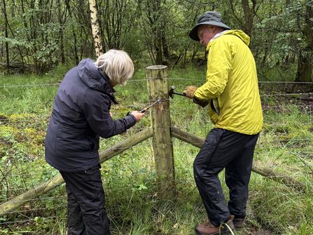Two people using hammers on the wire attached to a fencepost