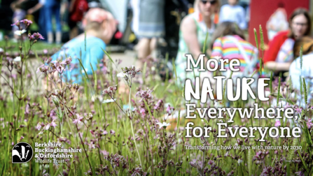 Wildflower meadow in the foreground with people enjoying a community green space in the background, illustrating the connection between people and nature.