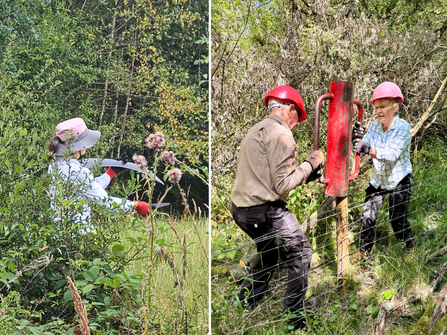 Two images. The left is of a volunteer holding a scythe, the right is of two volunteers using a large implement to install a fence post.