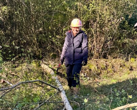 A volunteer with a saw in hand, wearing a hardhat, stood over a fallen tree