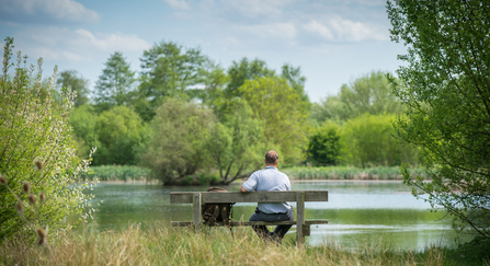 Man sitting on bench looking at lake