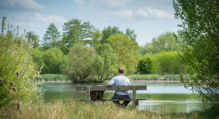 Man sitting on bench looking at lake
