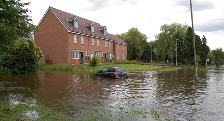 Flooding of cars and houses caused by bad floodplain management