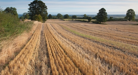 Haregill Lodge Farm, North Yorkshire