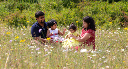 Family in meadow