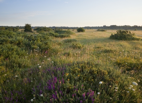 Greenham Common by James Osmond