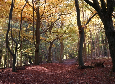 Warburg Nature Reserve