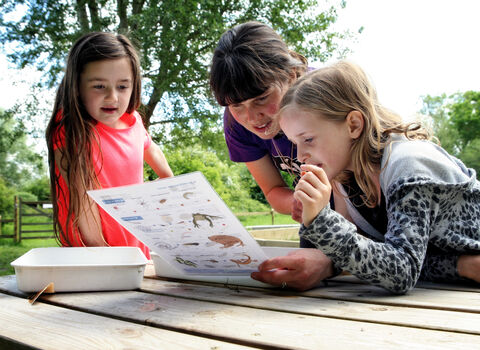 Pond dipping