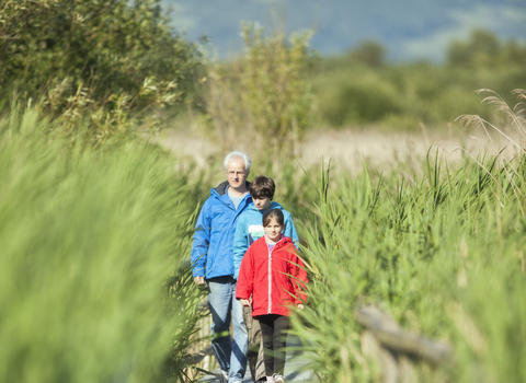 Family walk