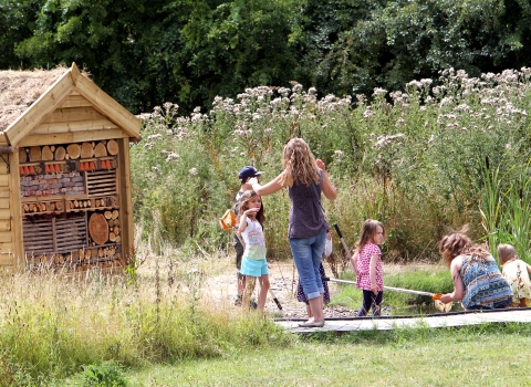 family near bug hotel