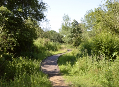 Lye Valley