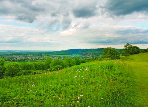 Bacombe Hill