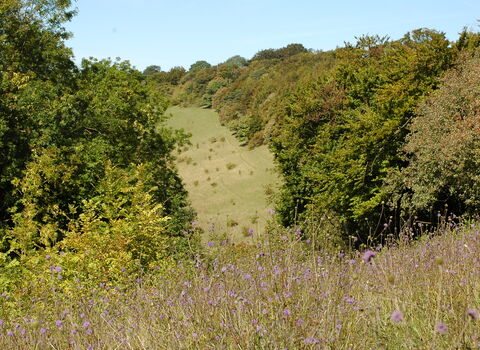 Yoesden nature reserve