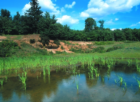 Hitchcopse Pit