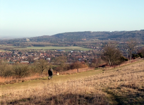 Bacombe Hill