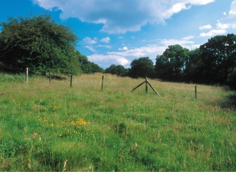 Chawridge Bank