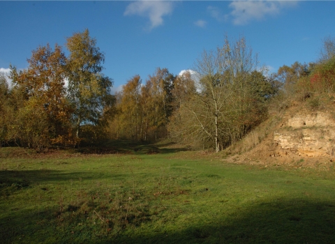 Dry Sandford Pit