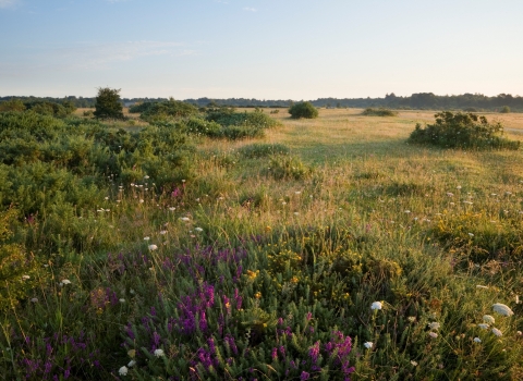 Greenham Common