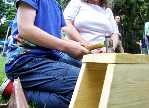 Building a bird box