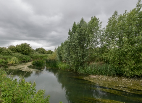 Chimney meadows nature reserve