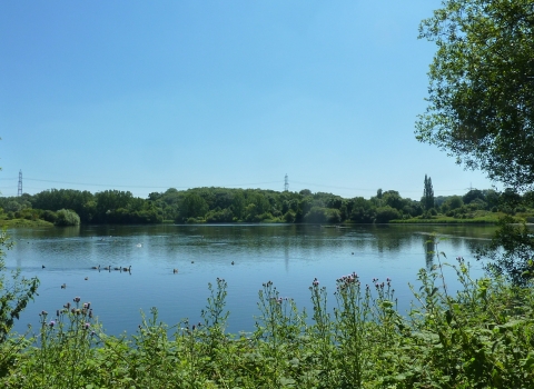 Hosehill Lake