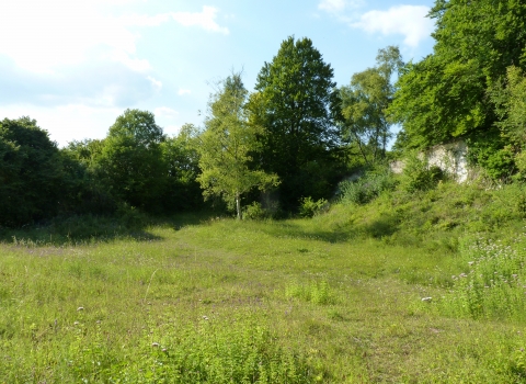 Hurley Chalk Pit