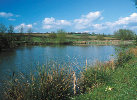 Lamb's Pool