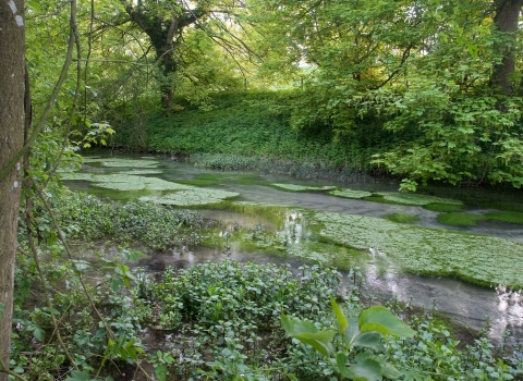 Letcombe Valley